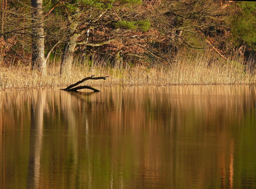 Blick Zum Maimont Hotel Ludwigswinkel Bagian luar foto