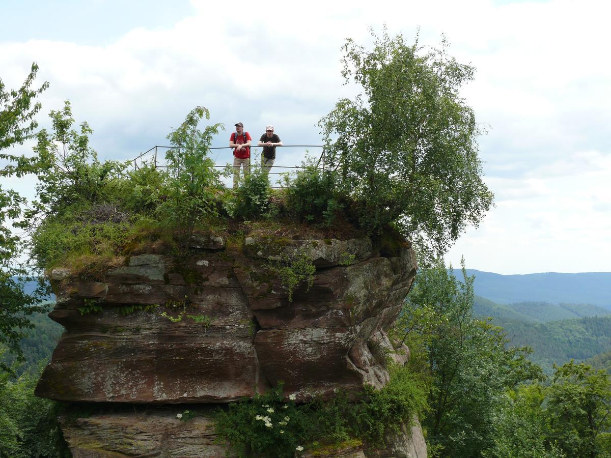 Blick Zum Maimont Hotel Ludwigswinkel Bagian luar foto