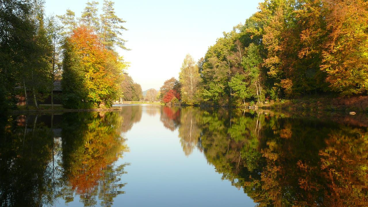 Blick Zum Maimont Hotel Ludwigswinkel Bagian luar foto